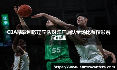 CBA精彩回放辽宁队对阵广厦队全场比赛精彩瞬间重温