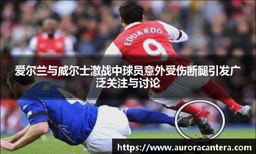 爱尔兰与威尔士激战中球员意外受伤断腿引发广泛关注与讨论